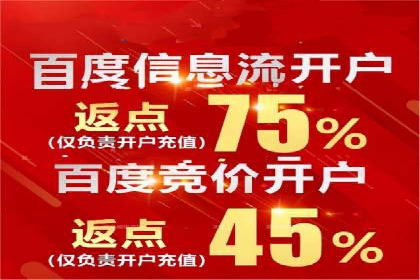百度竞价账户托管的技巧与策略：从入门到精通的案例解析